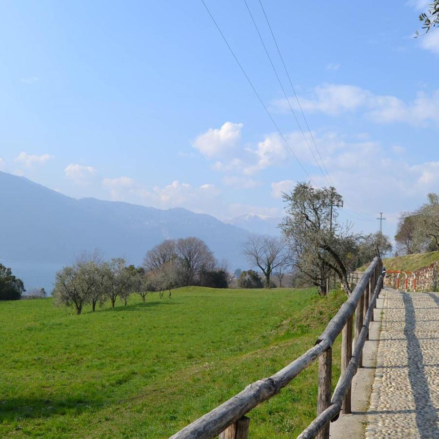 La Cascina Della Vigna Del Viandante Villa อับบาเดีย ลาเรียนา ภายนอก รูปภาพ